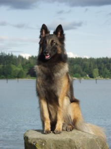 I.C. at the 2002 Belgian Terv. Nationals